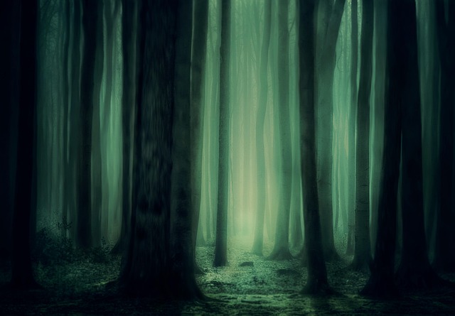 A mystical forest scene bathed in shades of dark green, evoking wonder and enchantment.